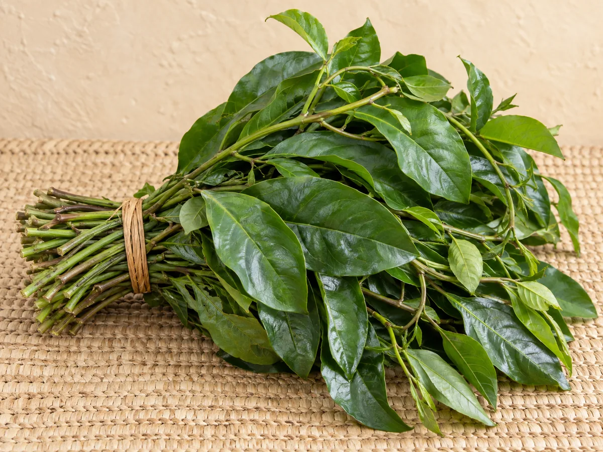 Afang Leaves