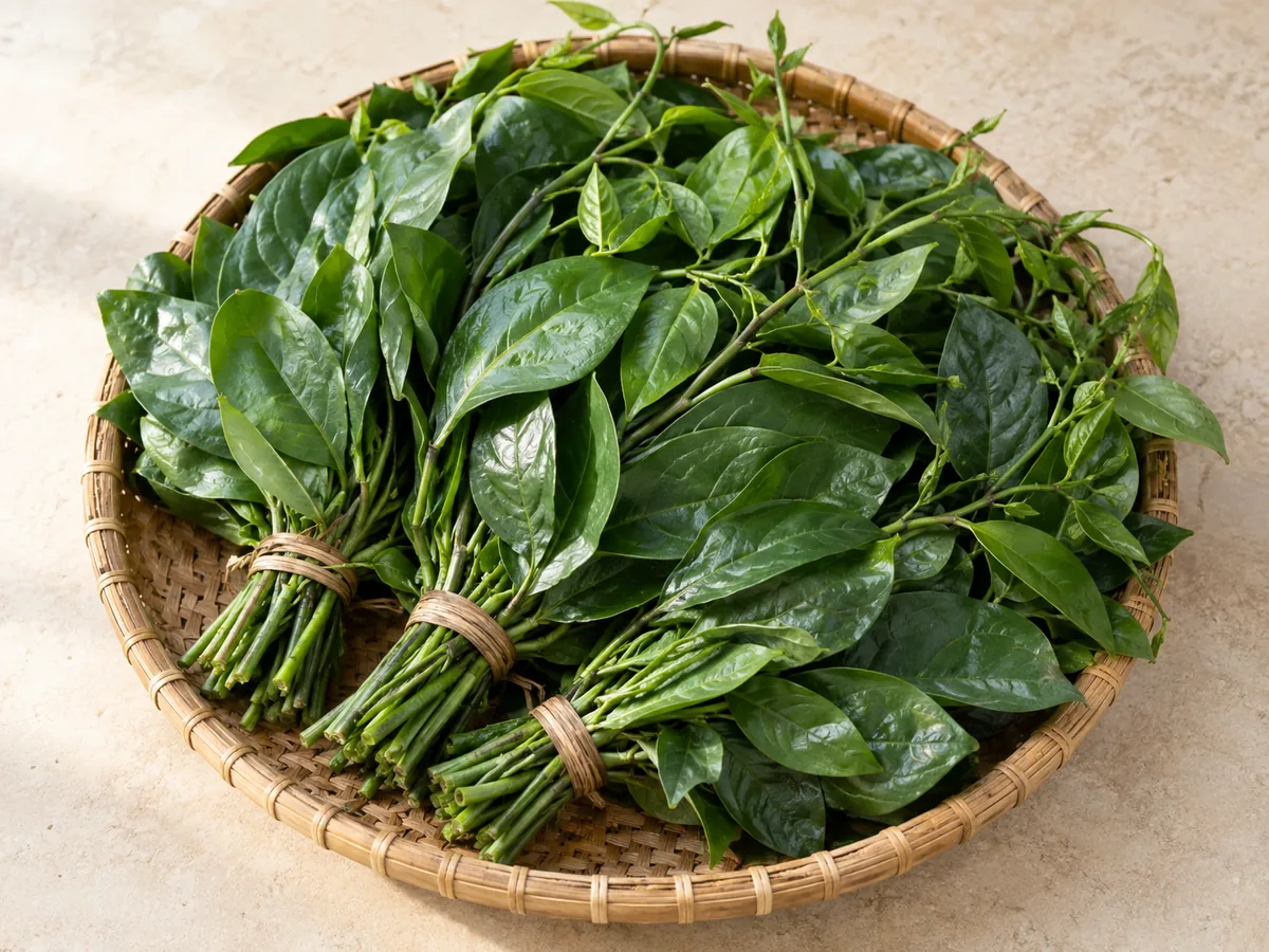 Afang Leaves